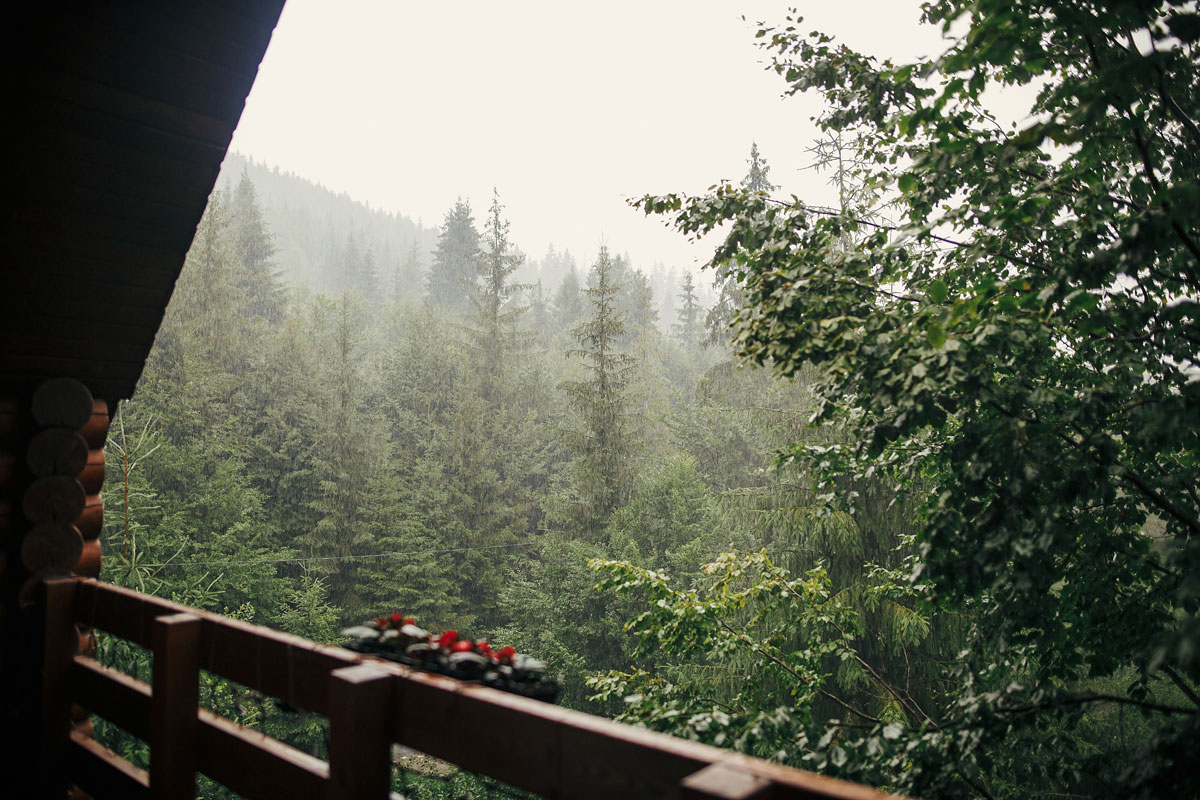 Antworks provides expert pest control services in Vancouver WA and Portland OR.