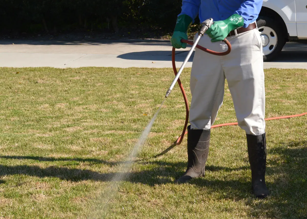 Some Portland OR homeowners may benefit from seasonal pest control. | Antworks Pest Control