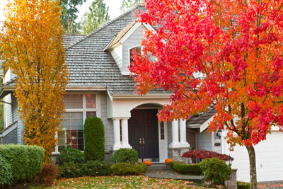 Antworks talks about pests that overwinter in the Portland OR and Vancouver WA areas.