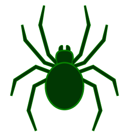 Spider exterminators and control in Vancouver WA and Portland OR by Antworks Pest Control