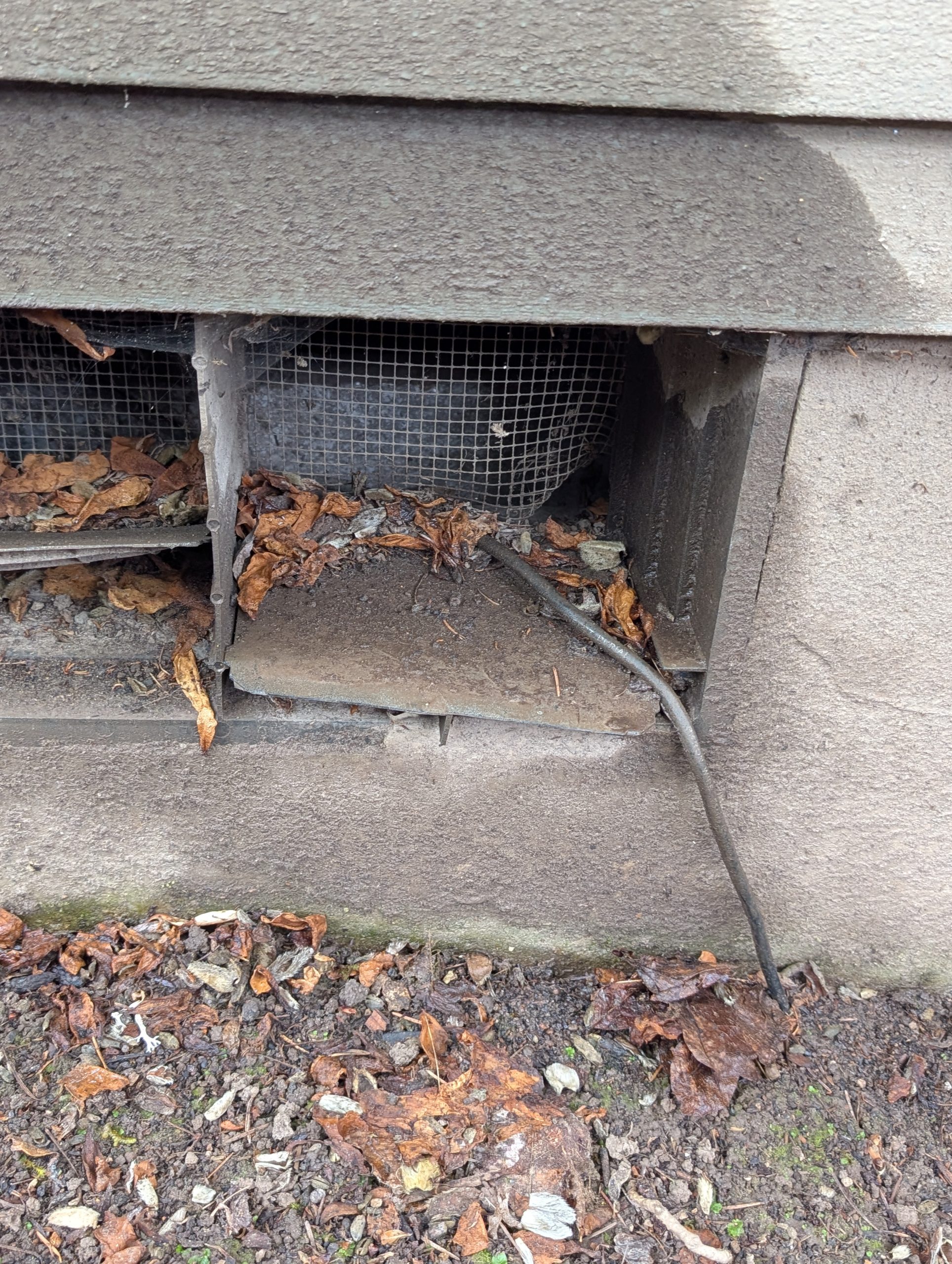 Damaged crawl space foundation vent with broken mesh, providing a rodent entry point for a home in the Portland-Vancouver metro area.