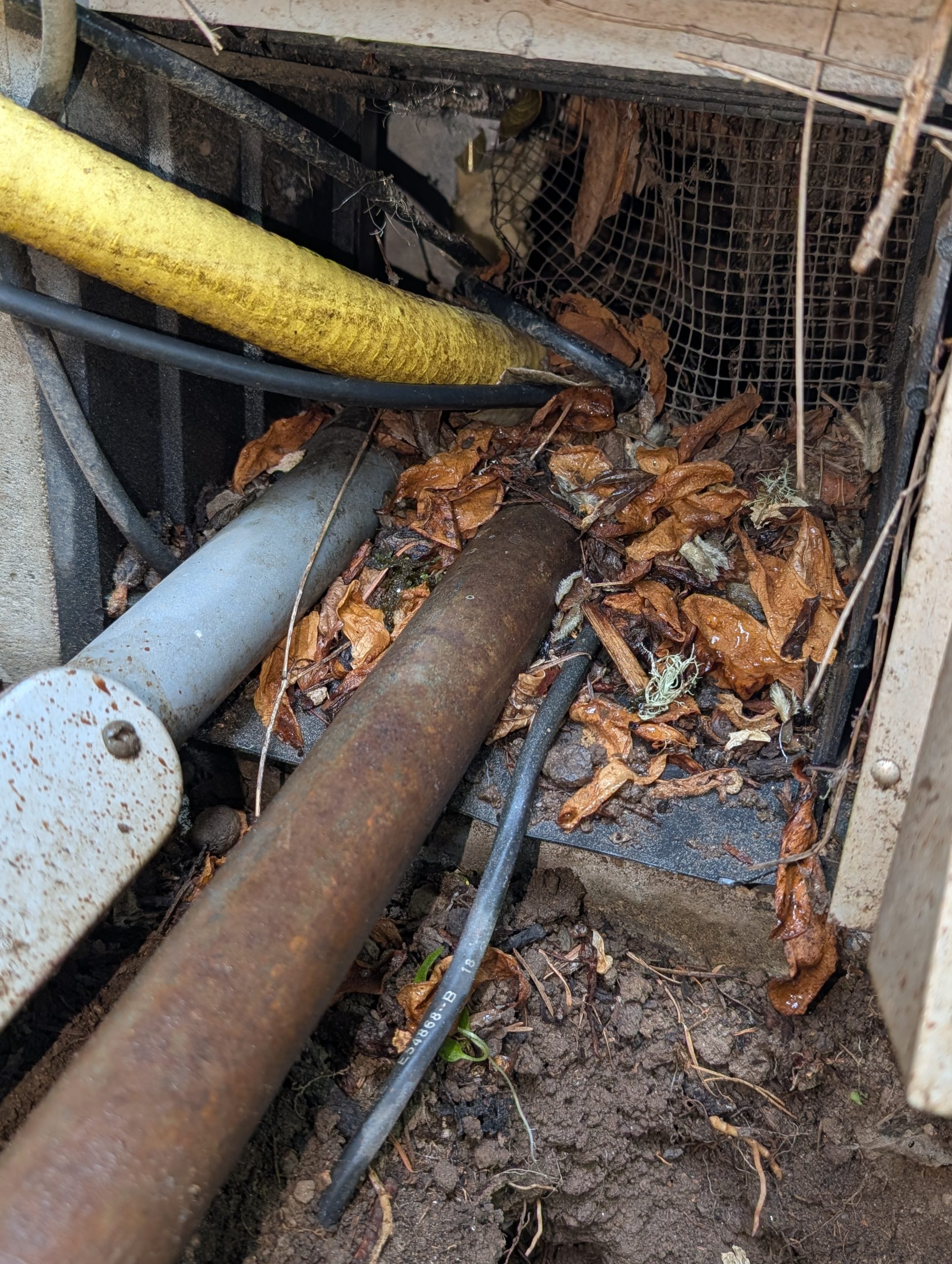 Rodent entry point through a damaged foundation vent and utility lines at a home in the Portland-Vancouver metro area.
