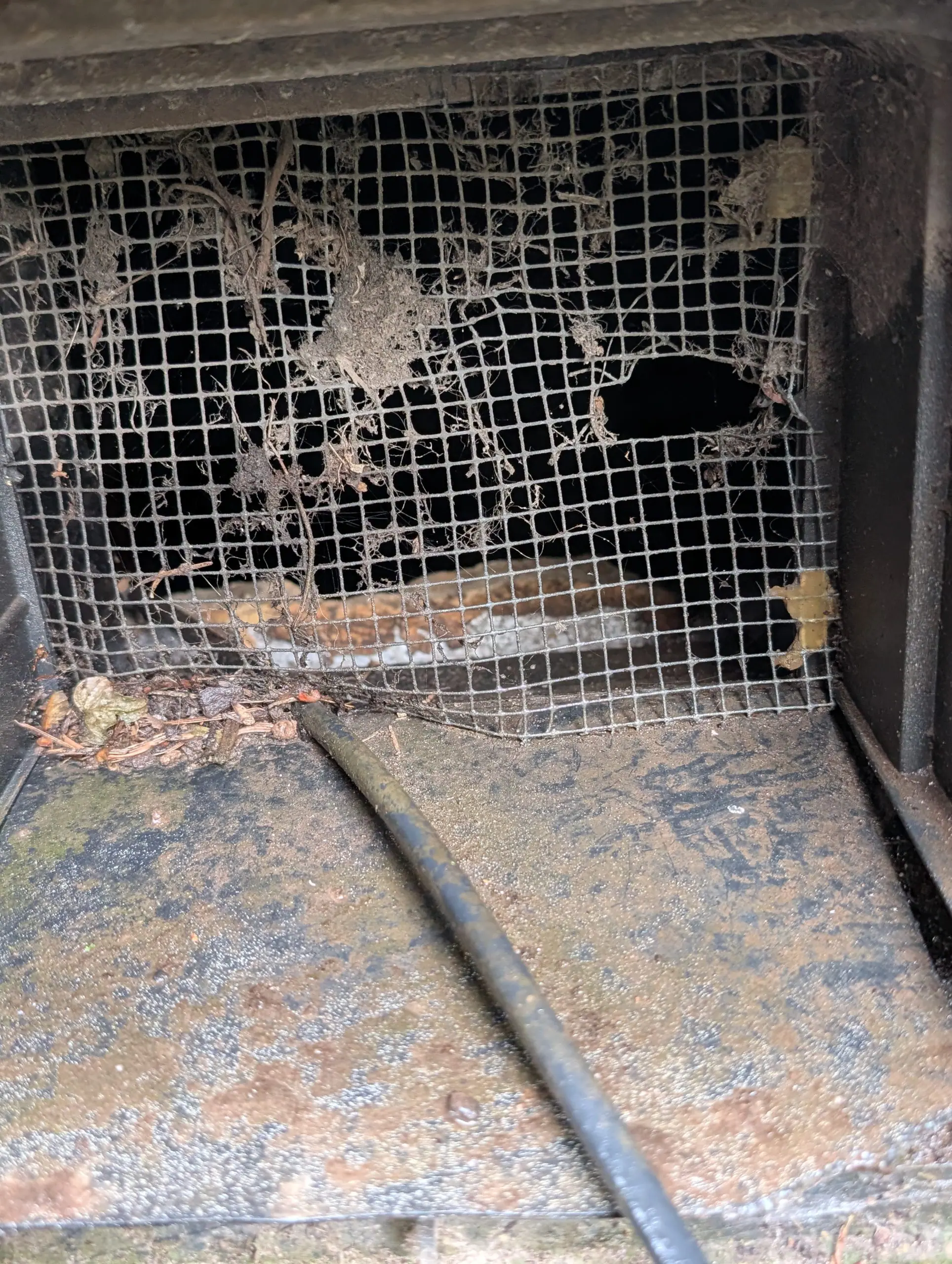 Broken crawl space vent screen with a rodent entry hole and nesting debris in a Portland-Vancouver metro area home.