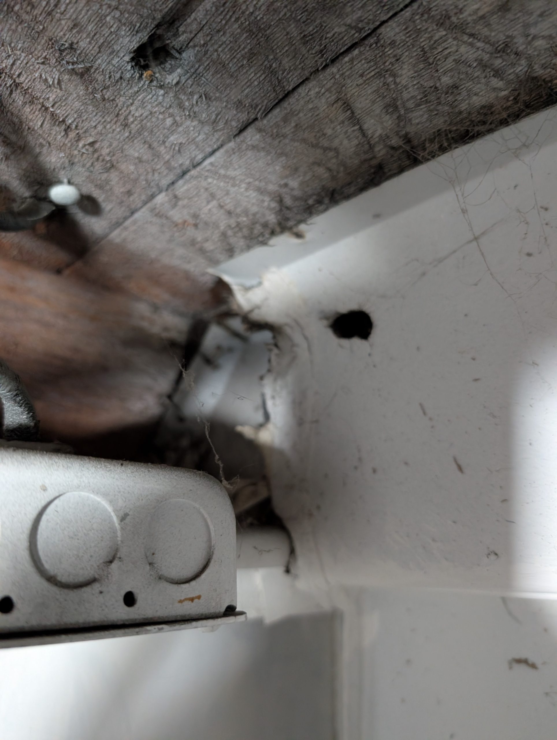 Rodent gnaw hole in a white interior wall corner near a silver electrical box in a Portland-Vancouver metro area home.
