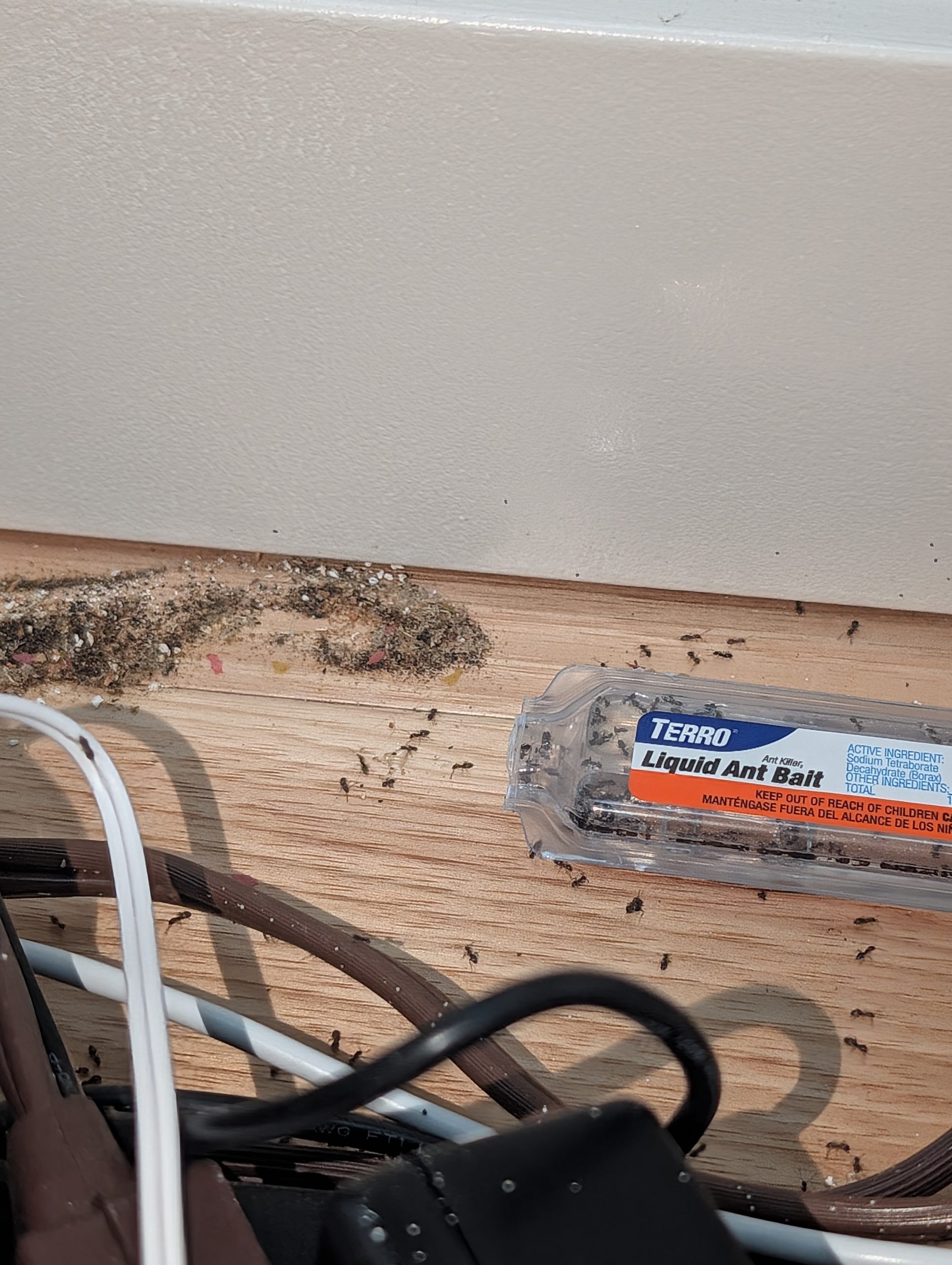 Odorous house ants swarming Terro liquid bait and nesting near power cables in a Portland-Vancouver metro area home.