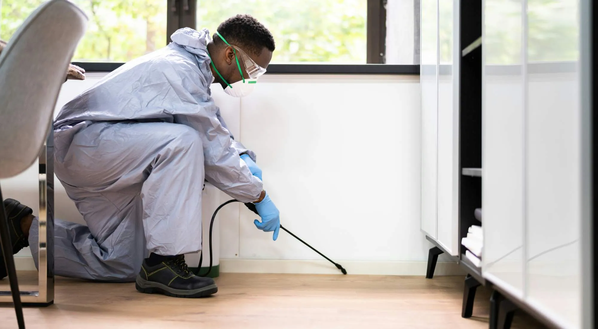 Eco-friendly Pest Control company Serving Portland and Vancouver